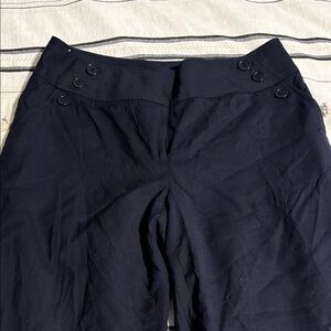 Ann Taylor Elegant Navy Trousers
